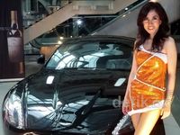 dr Sonia Wibisono dan Mobil Kebut