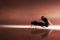 Tepat di Hari Kanker, Dokter Ingatkan Bahaya Seks Anal