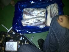 Duh.. Daging Sapi Australia Diselundupkan di Dalam Ratusan Karton Ikan