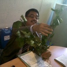 Polda Jabar: Tanaman Ghat Mirip Daun Salam