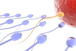 Studi: Jumlah Sperma Pria Spanyol Berkurang 2% Setiap Tahun