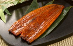 Stok Ikan Sidat Menurun, Unagi Terancam Langka di Jepang