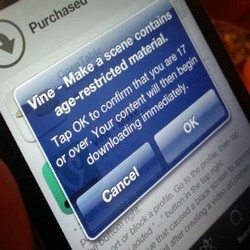 Disusupi Porno, Aplikasi Video Twitter Kini Berstatus 17+