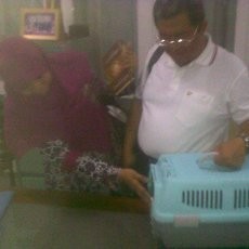 Pillow Juga Ikut Angkat Koper dari Gedung Pakuan