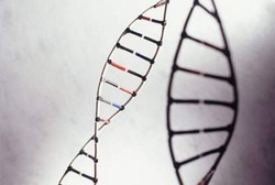 Sindrom Noonan, Kelainan Genetik yang Sebabkan Tubuh Abnormal