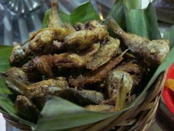 Kriuk-kriuk Krenyes Baby Ikan Mas Goreng