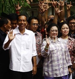  PPP: Jokowi Sedot Pemilih Mega dan Prabowo