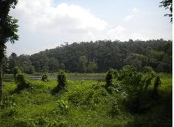 Cari yang Segar-segar di Palembang, Ini 2 Tempatnya