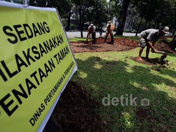 Mempercantik Taman di Jalan Merdeka Selatan