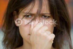 Hewan Ini Paling Rajin Kentut dan Banyak Sumbang Gas Rumah Kaca