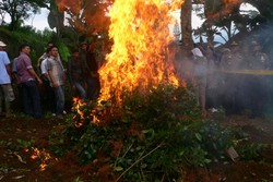 Pemkab Bogor: Tak Ada Anggaran Ganti Rugi untuk Pemilik Ladang Ghat