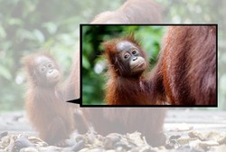 5 Cara Meng-crop Foto Traveling yang Atraktif