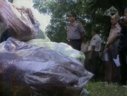 Pemusnahan Bumbu Mie Instan