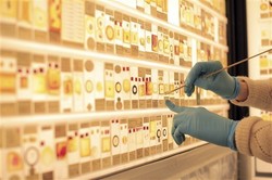 London Buka Museum Untuk Hewan-hewan Terkecil di Dunia