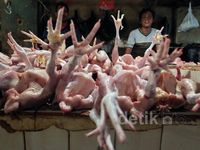 Daging Ayam Bisa Gantikan Daging Sapi