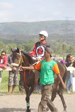 Pacuan Kuda, wisata baru di Kabupaten Bantul