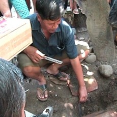 Sesosok Janin Ditemukan Terkubur di Belakang Rumah