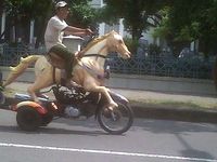 Kuda Naik Motor