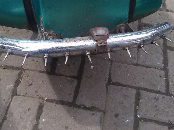 Vespa Berpaku Pemakan Korban