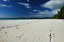 Ada Pantai dengan Pasir Sehalus Tepung di Maluku