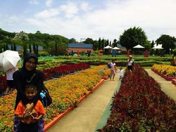 Liburan Murah & Kebun Anggur di Silver Lake, Thailand