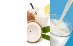 Inilah 7 Keunggulan Santan Dibanding Susu Sapi!