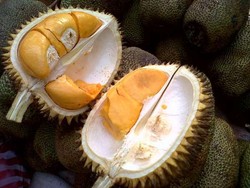 Ketua Alumni IPB: Durian Monthong Thailand Itu Asli Indonesia