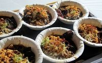 Menyantap Ramen Buatan sang Master dari Jepang