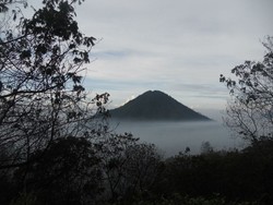 view saat turun dari kawah ijen