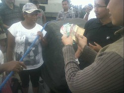 Cerita Koin Rupiah Hingga Kopra di Pulau Terluar Indonesia