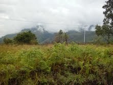 Butuh Hati dan Kesungguhan untuk Menerangi Papua