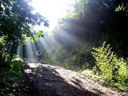 Taman Ir H Djuanda, yang Segar-segar di Bandung Utara