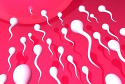 Tak Perlu Cemas, Sperma Pas-pasan Bukan Berarti Tidak Subur
