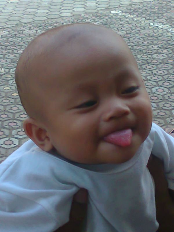 Muhammad Fattan Qodri Al Khaisy, 11 Bulan, Lelaki