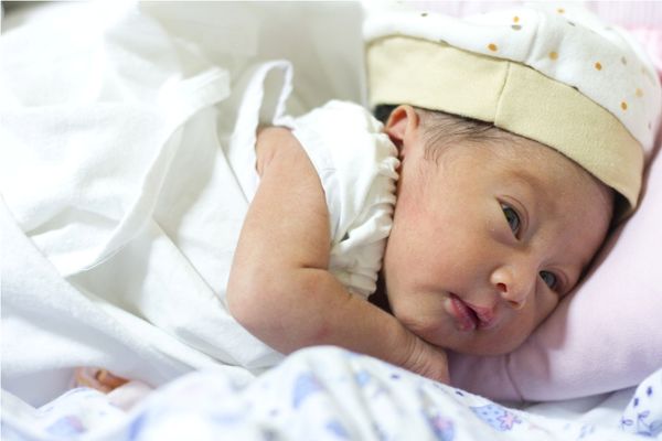 Khayla Shafa Wibowo, 8 Bulan, Perempuan