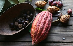 Kenali Kandungan Nutrisi Beragam Produk Cokelat Ini!