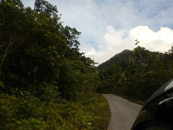 95% Wilayah Hutan Konservasi, Tantangan Pembangunan Ekonomi di Supiori Papua 