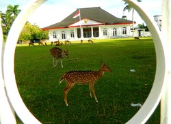 Ramainya Halaman Rumah Gubernur Inggris di Bengkulu