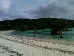 Pulau Rote Jadi Incaran Para Peselancar Dunia