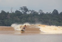 Surfing di Sungai Kampar, Keajaiban dari Indonesia