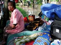 Bengawan Solo Meluap, Bojonegoro Banjir