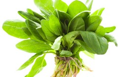 Bayam di 39 Negara Bagian Amerika Diduga Tercemar Bakteri E-Coli