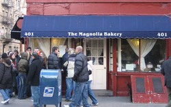 Gara-gara Kotoran Tikus, Toko Kue di New York Terpaksa Ditutup