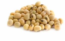 Ingin Ukuran Payudara Besar dan Montok? Rajinlah Makan Kedelai!