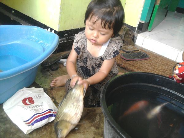 Qory Qalesha Wikanta, 2,2 Tahun, Perempuan