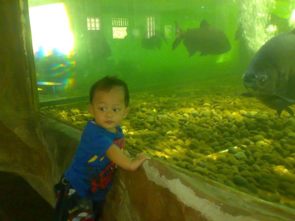 Devin Rizky Al-Bantany, 1,5 Tahun, Lelaki