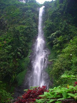 Curug Cijalu & Putri, Pasangan Paling Serasi di Bumi Pasundan