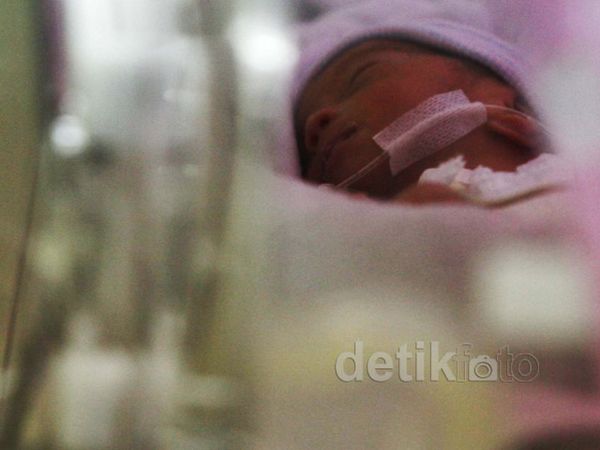 Kondisi Bayi Dara Membaik