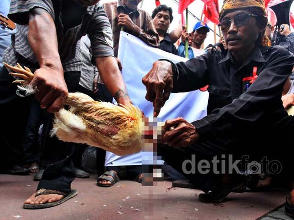 Demo Soal Tanah, Petani Ritual Tolak Bala di MA