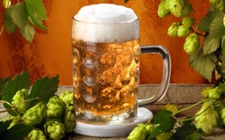 Kemampuan Minum Alkohol pada Manusia Diturunkan oleh Nenek Moyang